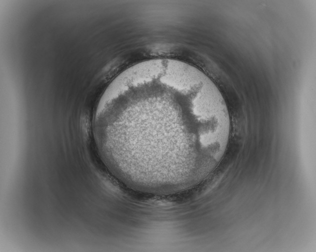 X0000111350648200907310953