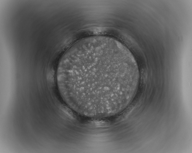 X0000111350650200907310953