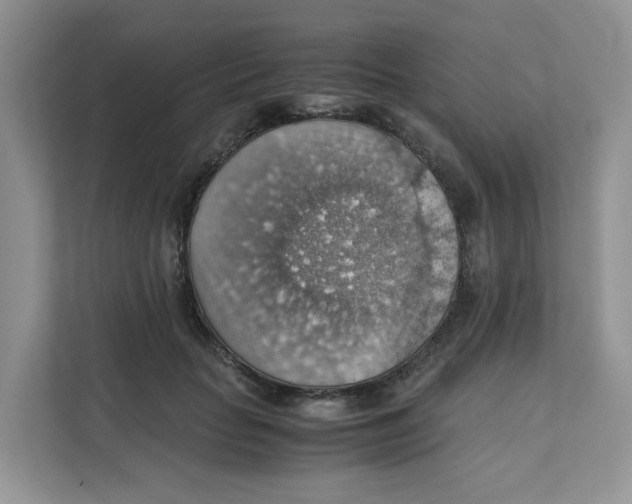 X0000111350653200907310953