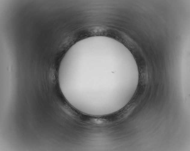 X0000111350654200907310953