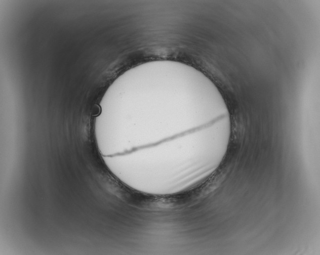 X0000111350656200907310953