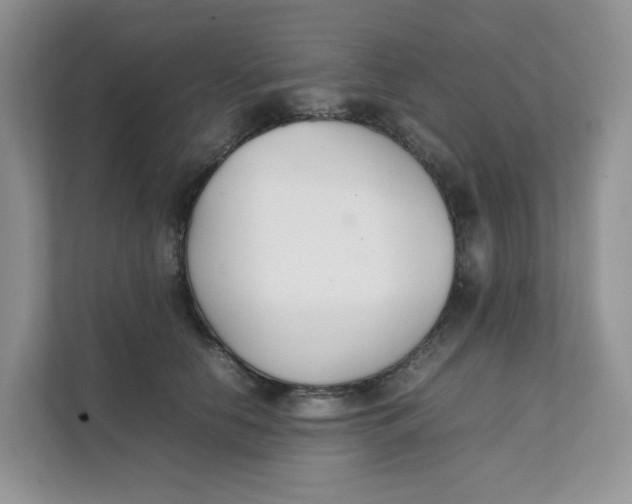 X0000111350658200907310953