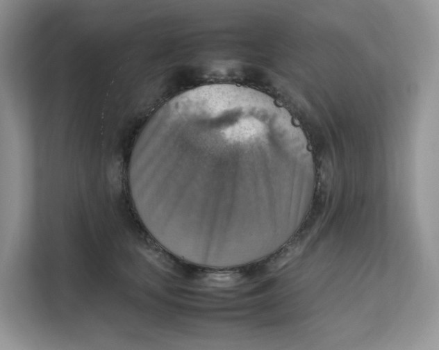 X0000111350659200907310953