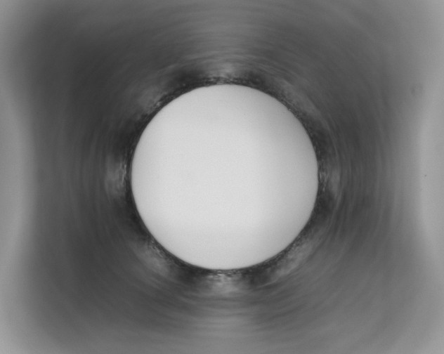 X0000111350660200907310953