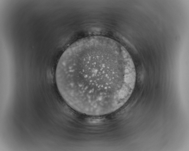 X0000111350661200907310953