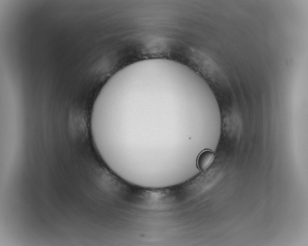 X0000111350662200907310953