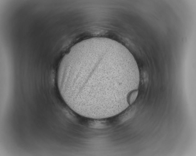 X0000111350664200907310953