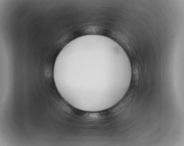 X0000111350665200907310953