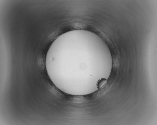 X0000111350666200907310953