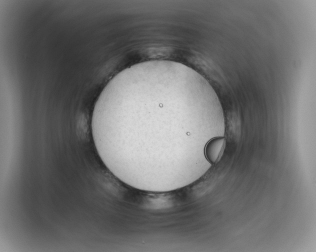 X0000111350667200907310953