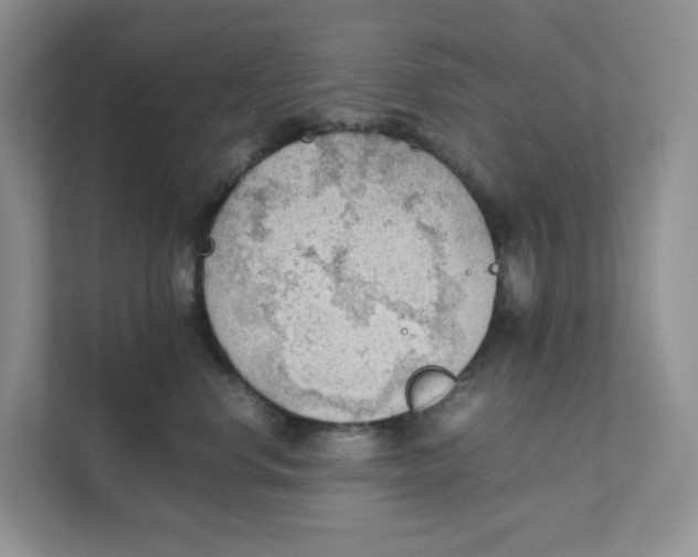 X0000111350668200907310953