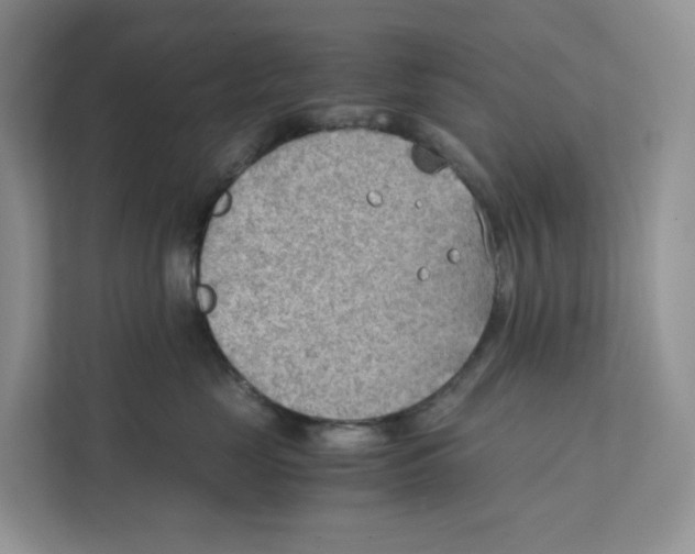 X0000111350669200907310953