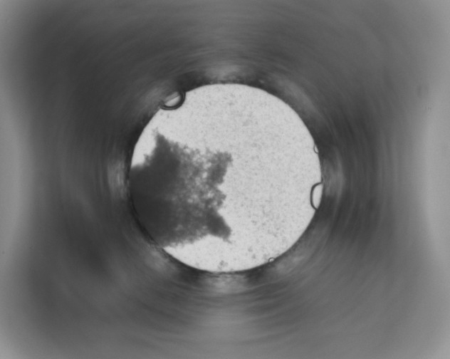 X0000111350670200907310953