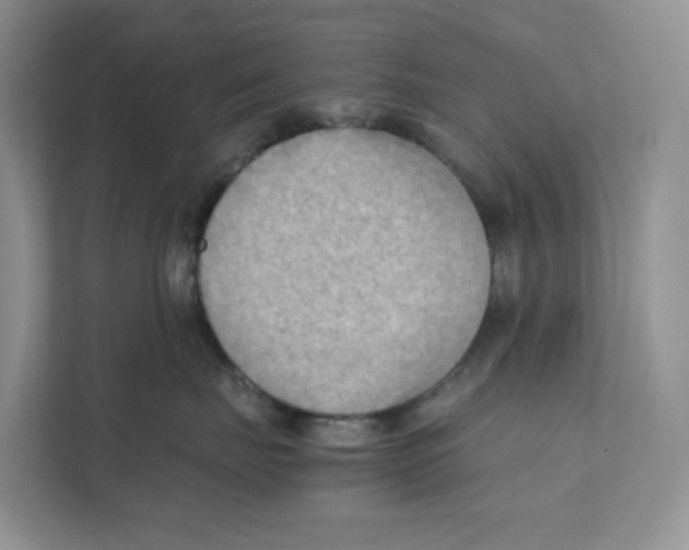 X0000111350671200907310953