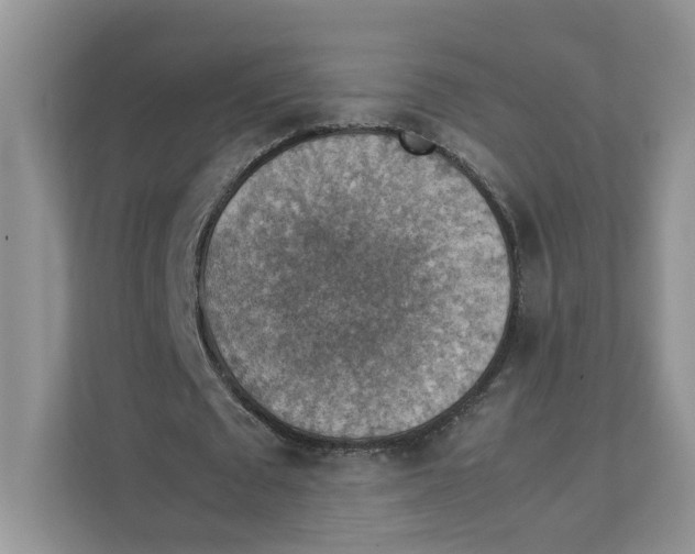 X0000111350673200907310953