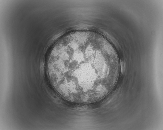 X0000111350675200907310952