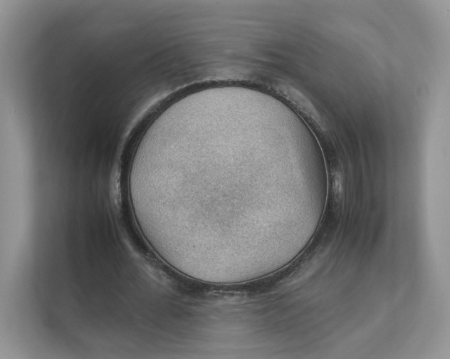 X0000111350676200907310952