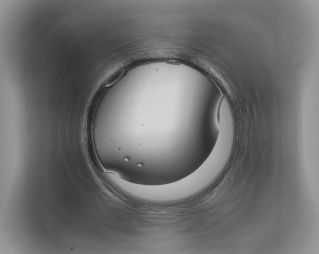 X0000111350677200907310952