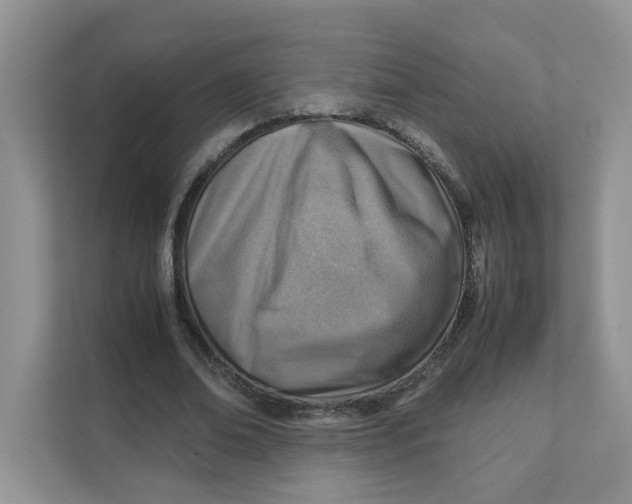 X0000111350678200907310952