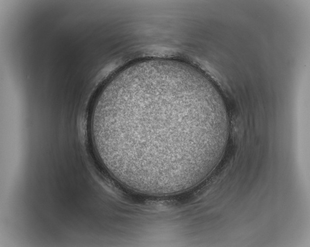 X0000111350679200907310952