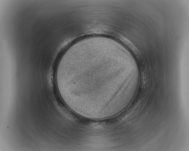 X0000111350680200907310952