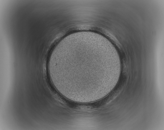 X0000111350681200907310952