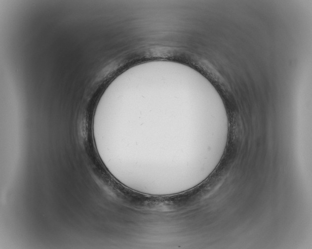 X0000111350683200907310952