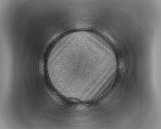 X0000111350684200907310952