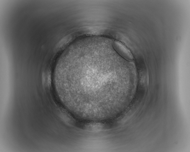 X0000111350685200907310952