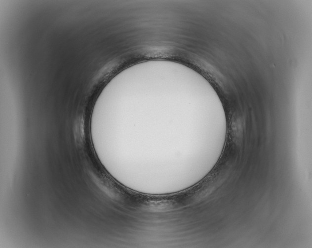 X0000111350686200907310952