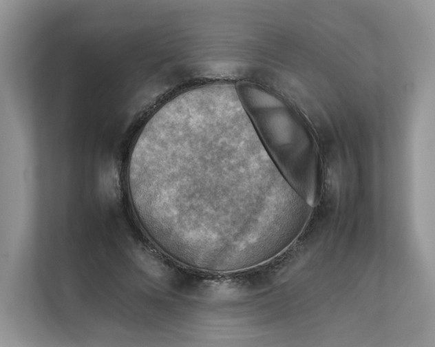 X0000111350688200907310952