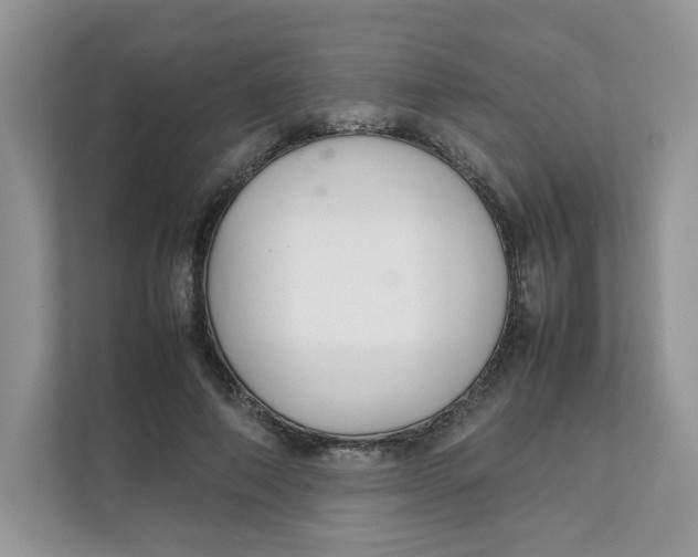 X0000111350690200907310952