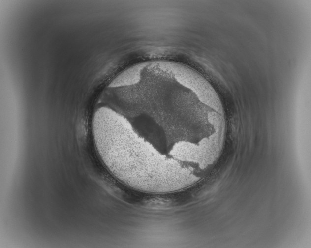 X0000111350691200907310952