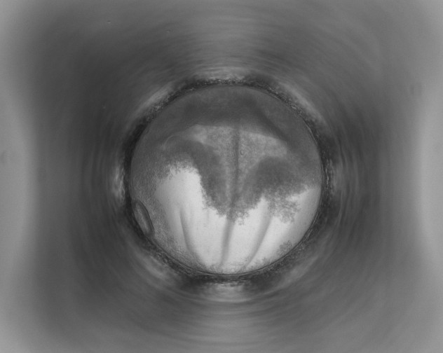 X0000111350692200907310952