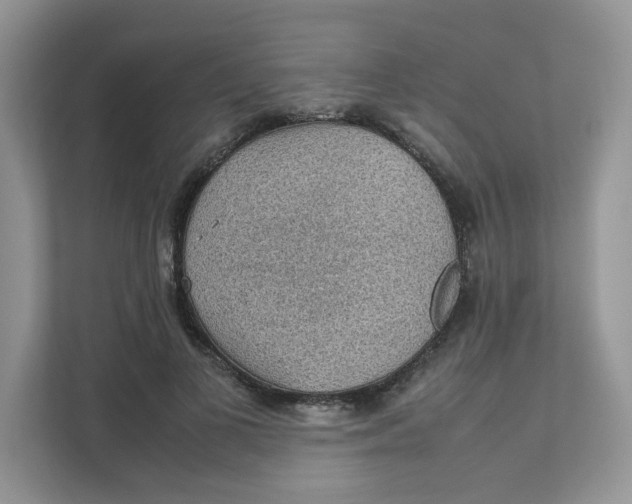 X0000111350693200907310952