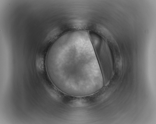 X0000111350696200907310952