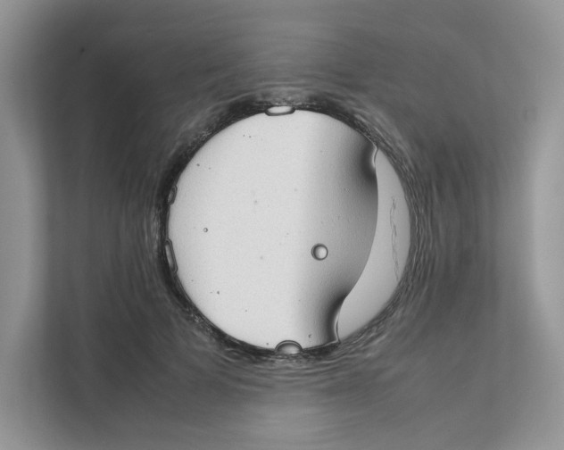 X0000111350697200907310952