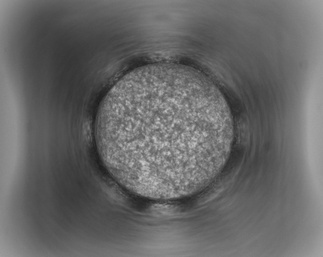 X0000111350699200907310952