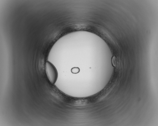 X0000111350700200907310952