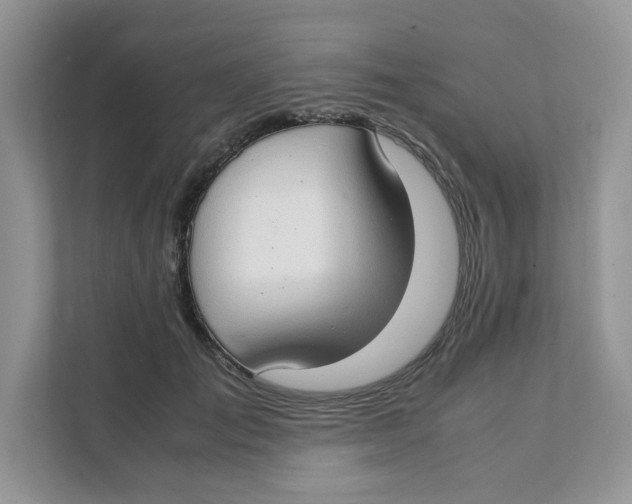 X0000111350701200907310952