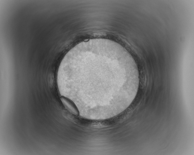 X0000111350704200907310952