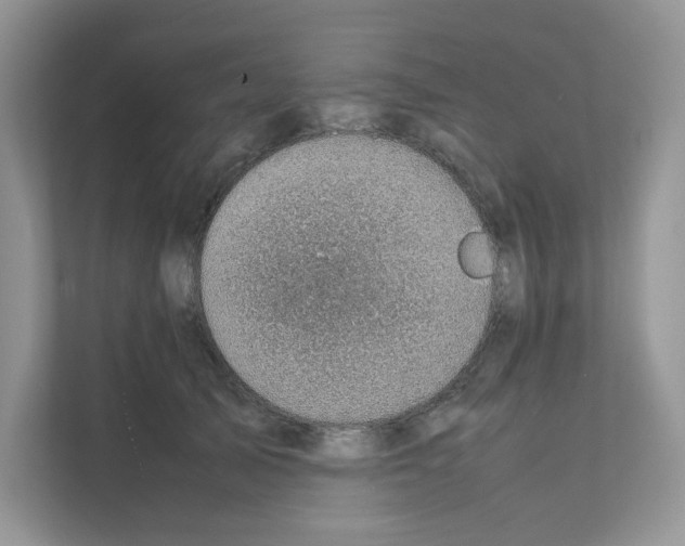 X0000111350705200907310952