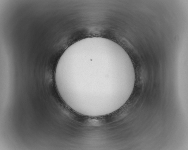 X0000111350706200907310952