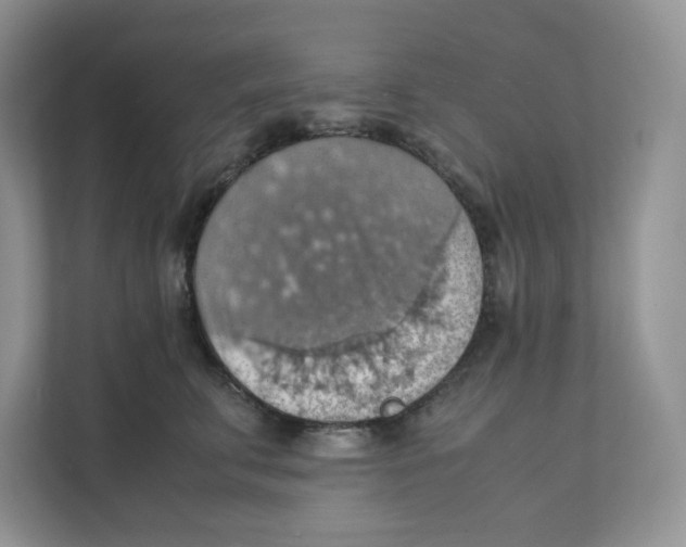 X0000111350711200907310952