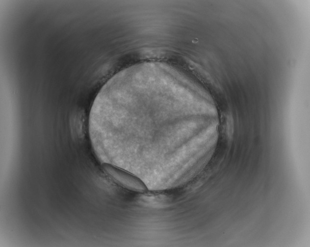 X0000111350712200907310952