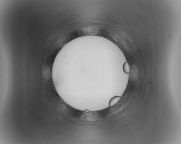 X0000111350713200907310952