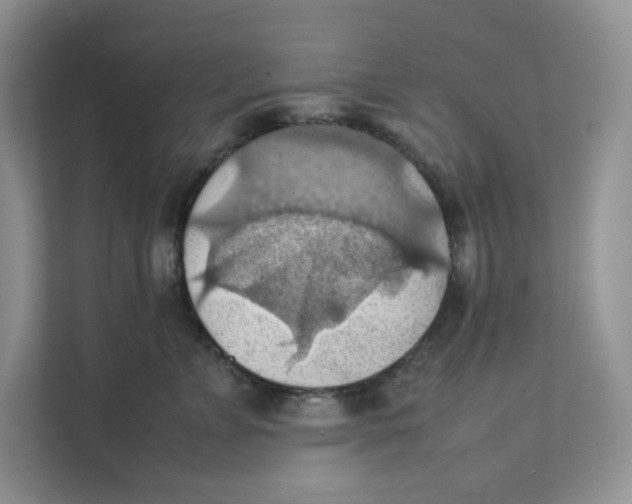 X0000111350715200907310952