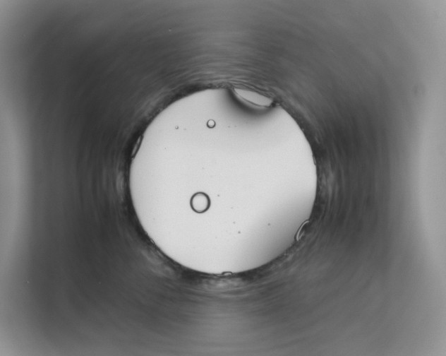 X0000111350716200907310952