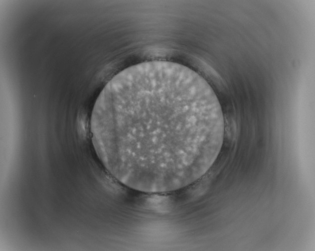 X0000111350718200907310952