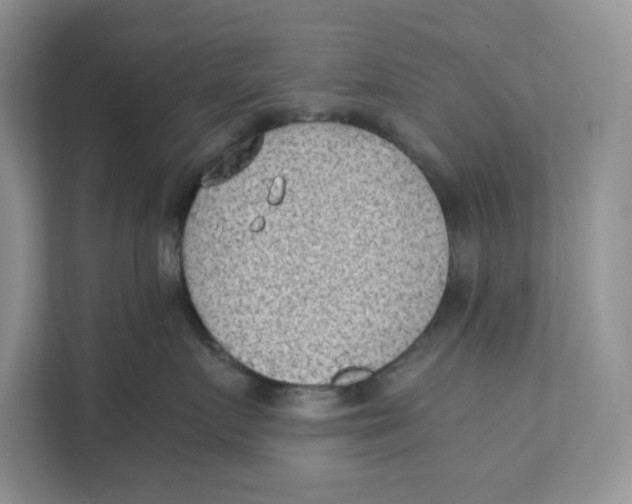 X0000111350719200907310952